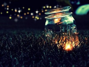 fireflies